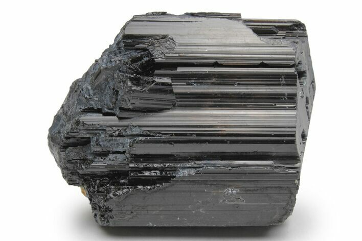 Lustrous Black Tourmaline (Schorl) Crystal - Madagascar #217278
